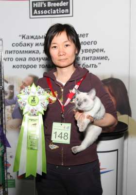 Выставка кошек 'Осенний Кэт-Салон' 30 ноября-1 декабря 2013., WCF-ринги 3072